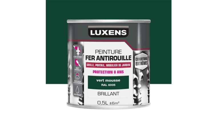 PEINTURE FER CONDITIONS EXTREMES VERT SAPIN 0L5