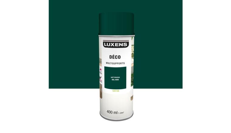 PEINTURE AERO VERT MOUSSE SAT LUXENS