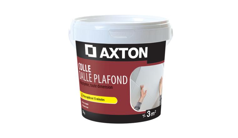 COLLE DALLE DE PLAFOND POLYSTYRENE PATE 1KG AXTON