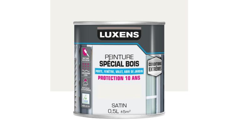 PEINTURE BOIS CE BLANC 0L5