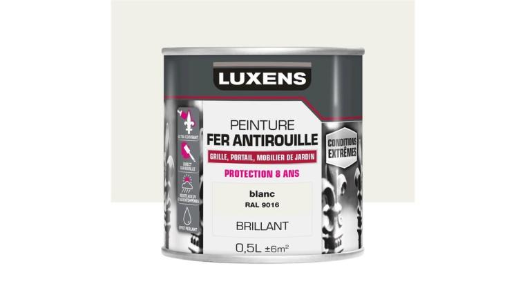 PEINTURE FER CONDITIONS EXTREMES BLANC BLANC 0L5