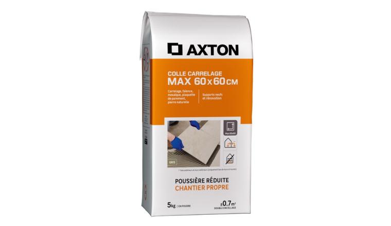 MORTIER COLLE AXTON GRIS 5KG